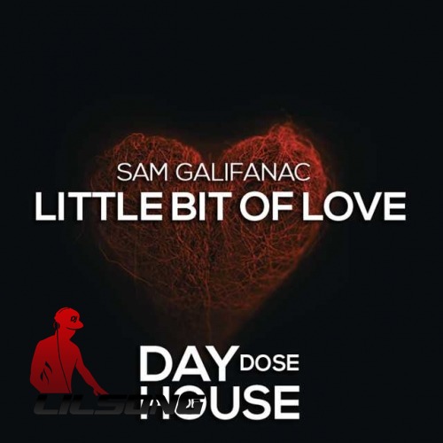 Sam Galifanac - Little Bit of Love